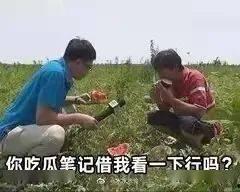 晋江娱乐圈吃瓜文,揭秘幕后真相，吃瓜群众狂欢时刻