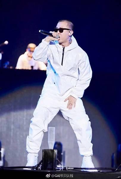 娱乐圈gai的评价,娱乐圈中的独特魅力与音乐才华