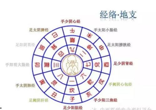 八卦养生法,揭秘阴阳平衡的古老智慧